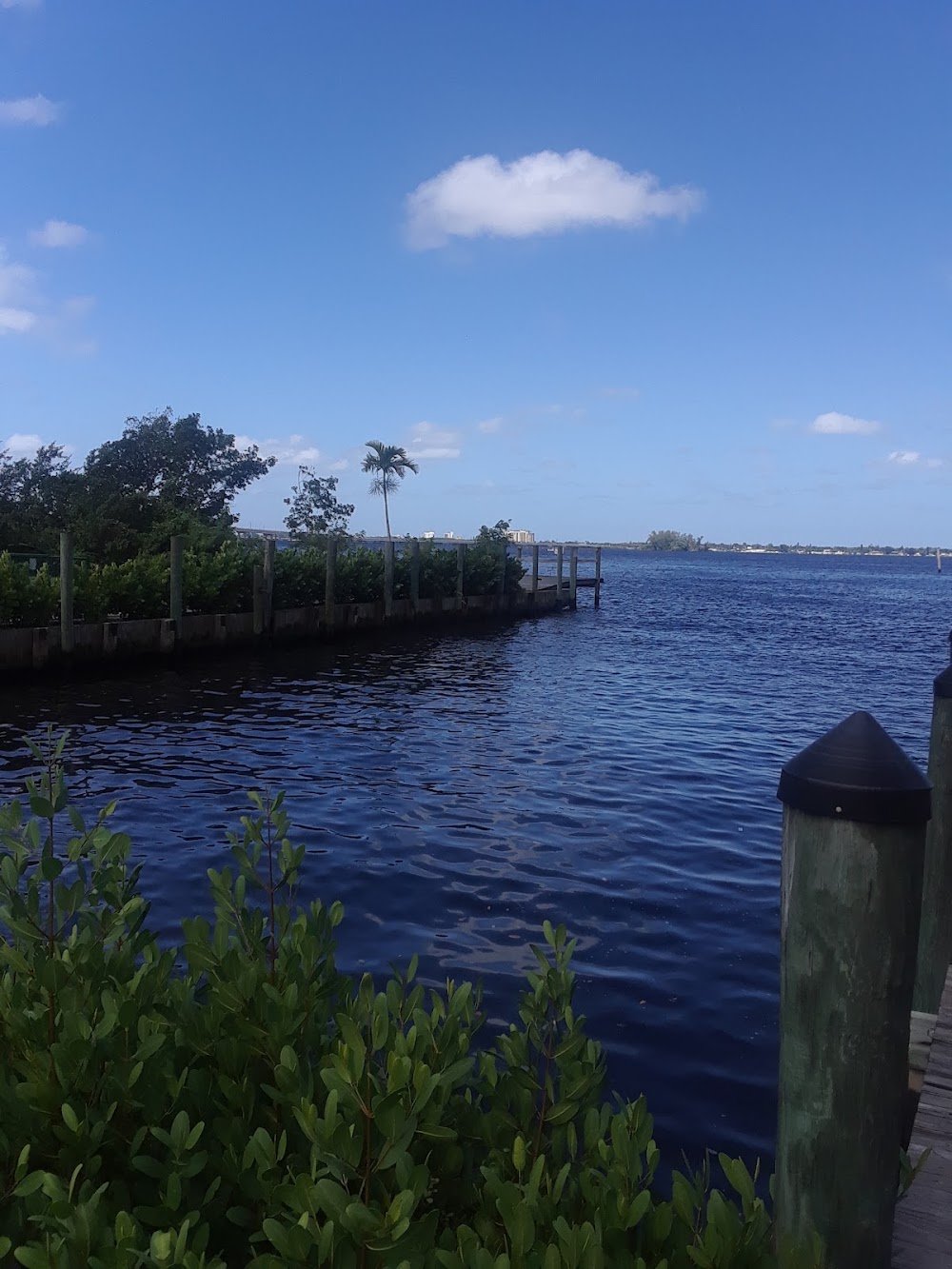 Caloosahatchee River access near Whiskey Creek, FL